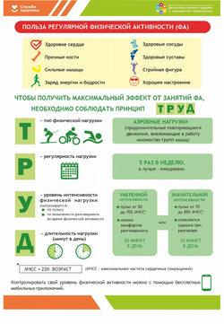 Регулярные физические нагрузки – одна из составляющих здорового образа жизни!